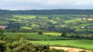 Quantock Hills Event: Accessing Grant Schemes to Achieve Environmental Outcomes