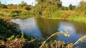 The Somerset Frome - two exciting new projects