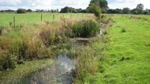 Wessex Diffuse Water Pollution Programme